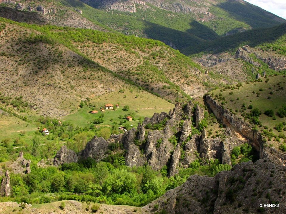 Програми и проекти